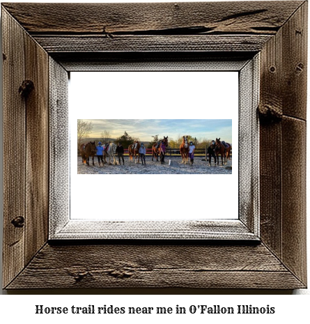 horse trail rides near me in O'Fallon, Illinois